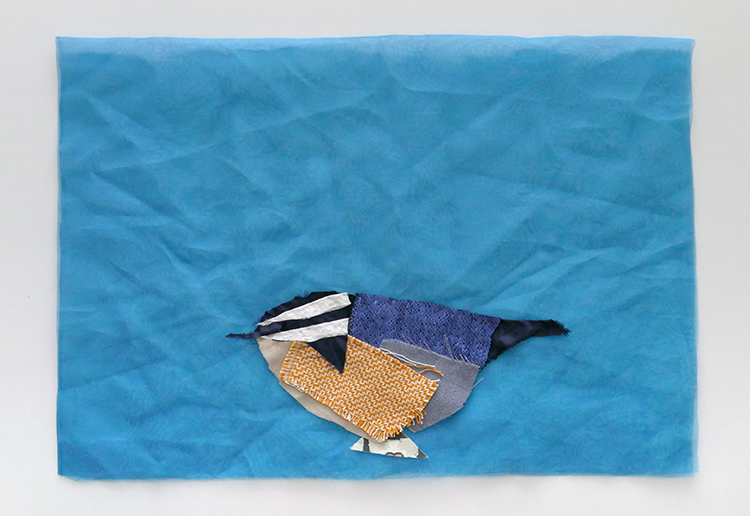 Red-breasted Nuthatch